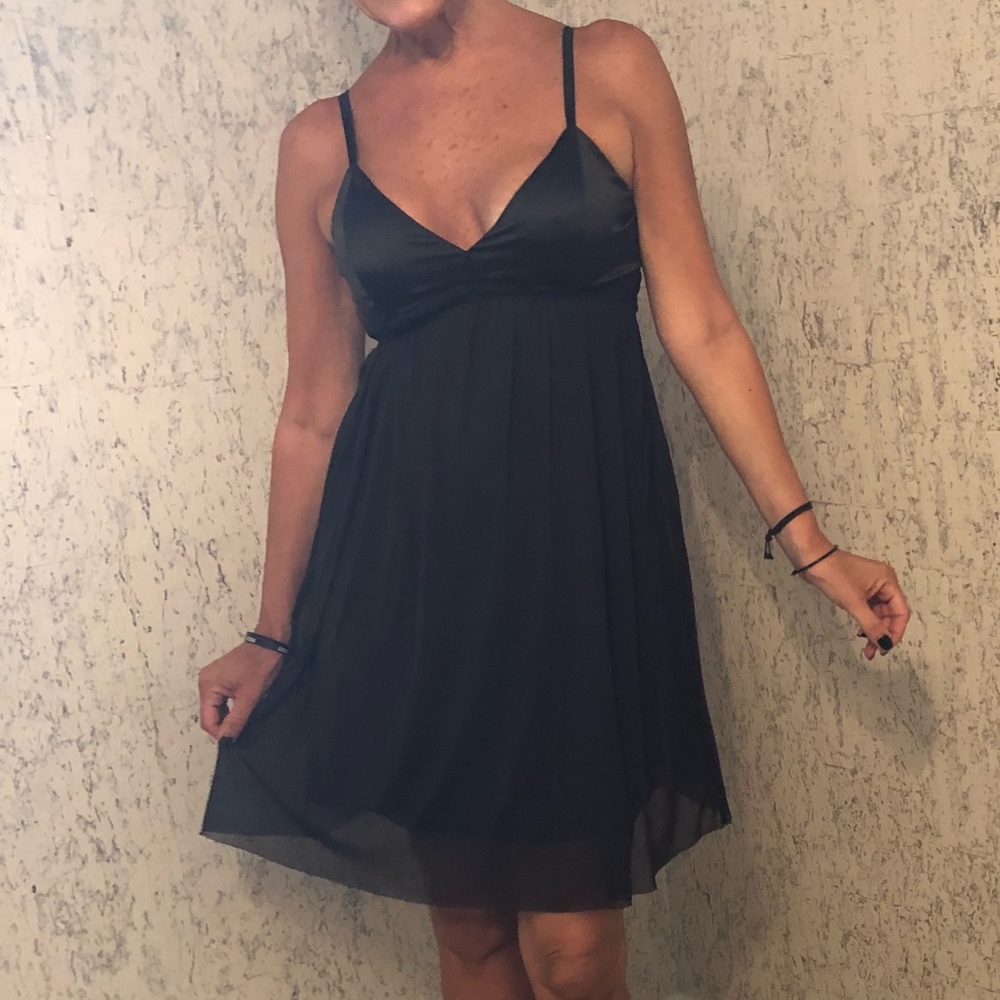 NWT The Limited Babydoll Sheer w Underlay Dress